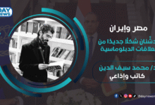 د:محمد سيف