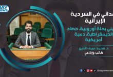 د. محمد سيف الدين