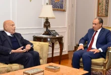 مجدي يعقوب ووزير الخارجية المصري