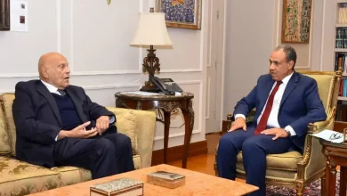 مجدي يعقوب ووزير الخارجية المصري